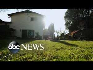 Read more about the article California drought could dry up LA’s lawns