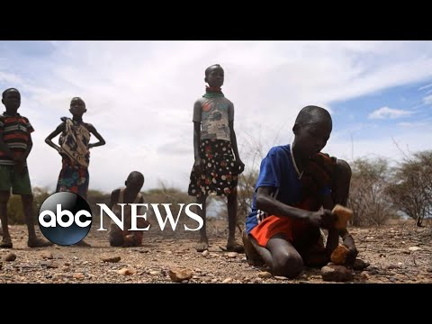 You are currently viewing Global climate crisis brings famine to Africa