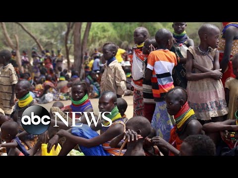 You are currently viewing Millions in East Africa face famine triggered by drought