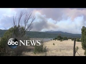 Read more about the article Wildfires pose huge threat in New Mexico