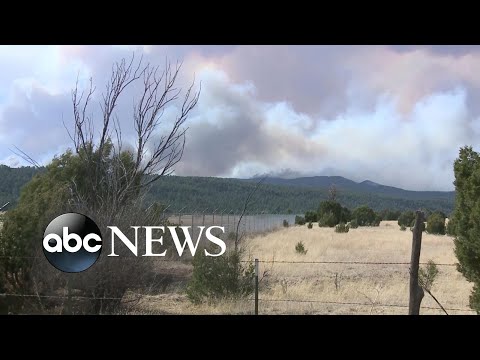You are currently viewing Wildfires pose huge threat in New Mexico