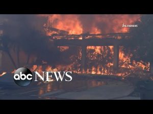 Read more about the article Wildfire prompts evacuations in Southern California l GMA