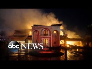 Read more about the article Wildfires in California, Windsor Horse Show, a dazzling bird: World in Photos, May 12