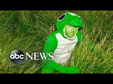 You are currently viewing Tik Talk: Therapy Gecko is ‘about being a gecko and talking to people on the phone’ | ABCNL