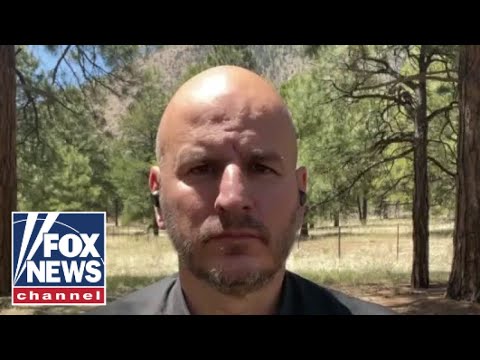 You are currently viewing We feel ‘beaten down’ by this administration: Border Patrol union president