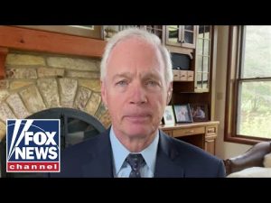 Read more about the article Sen. Johnson: This ‘fits’ FBI definition of ‘domestic terrorism’
