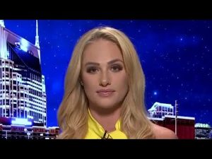 Read more about the article Tomi Lahren: This is ‘another attempt to pander’