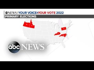 Read more about the article Progressive, moderate Democrats face off in primary elections