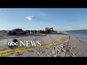 Read more about the article Deadly day at the beach