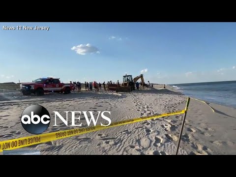 You are currently viewing Deadly day at the beach