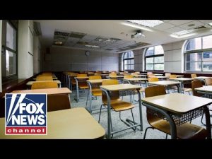 Read more about the article Students, teachers testify on free speech, censorship in US classrooms