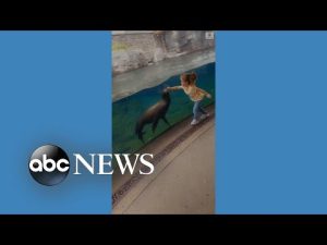 Read more about the article Girl bonds with sea lion at zoo