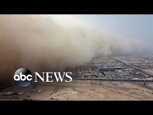 Read more about the article Dust storm, Biden visit, Chelsea Flower Show: World in Photos, May 23