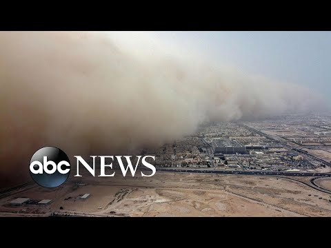 You are currently viewing Dust storm, Biden visit, Chelsea Flower Show: World in Photos, May 23