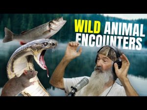 Read more about the article Phil & Jase Robertson Share Their WILDEST Animal Encounters | @Phil Robertson