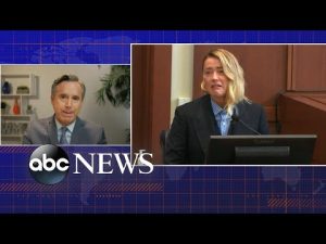 Read more about the article Celebrity lawyer on the Depp-Heard trial