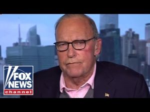 Read more about the article Kudlow: ‘None of it makes any common sense’