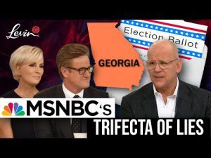 Read more about the article Debunking MSNBC’s Trifecta of Lies | @LevinTV
