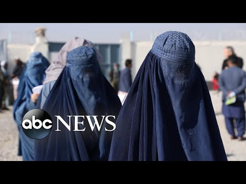You are currently viewing Afghan woman on directives: ‘We live in a big prison with very restrictive rules’ | ABCNL