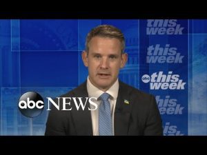 Read more about the article NRA has gone from defending rights of gun owners to a ‘grifting scam’: Kinzinger | ABC News