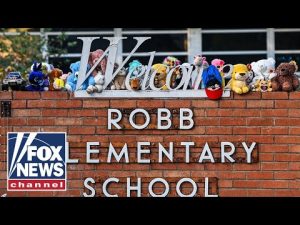Read more about the article The other issues impacting mass shootings: Rep. Van Duyne