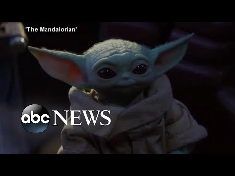 You are currently viewing May the 4th be with you