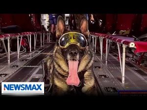 Read more about the article VIDEO: K9 Arlo and police officer spread mental health awareness | ‘John Bachman Now’