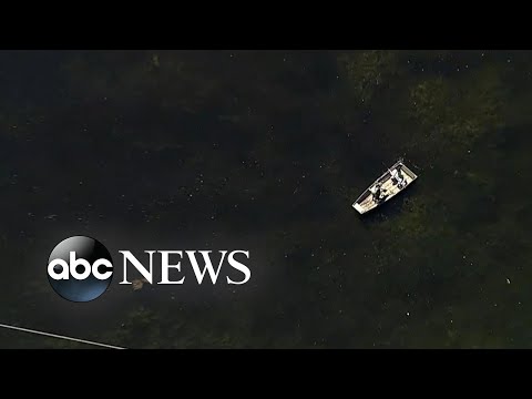 You are currently viewing Florida man killed in suspected alligator attack, police say