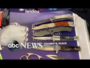 Read more about the article Man cited after TSA finds 23 weapons packed inside carry-on bag l ABC News