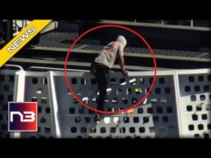 Read more about the article Pro-Life Spiderman Free Climbs Tallest Skyscraper In San Francisco Without Ropes To Save Lives