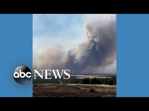 Read more about the article Smoke plume rises above Santa Fe forest fire
