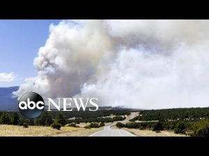 Read more about the article Fire danger intensifies in Southeast