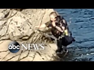 Read more about the article Police officer rescues dog from river