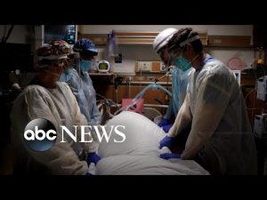 Read more about the article US nears 1M COVID-19 deaths