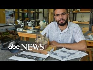 Read more about the article Fossil of 98-million-year-old dinosaur unearthed in Egypt