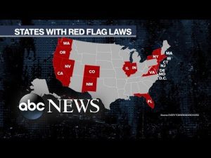Read more about the article Congress passes sweeping gun control package, heads to the Senate | ABCNL