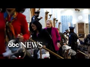 Read more about the article ‘I’m very worried about the 2024 election’: Rep. Debbie Dingell | ABCNL