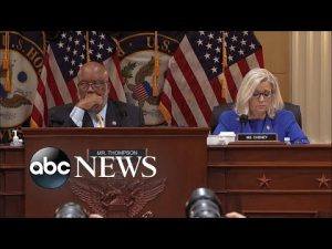 Read more about the article ‘An attempted coup’: Jan. 6 committee presents new evidence in 1st prime-time hearing | ABCNL