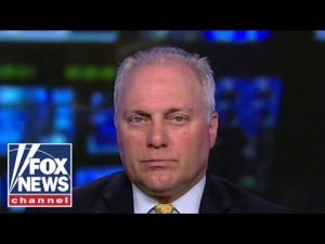 Read more about the article Democrats only want power: Scalise