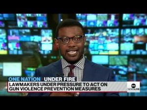 Read more about the article Lawmakers under pressure on proposed gun violence prevention measures | ABCNL