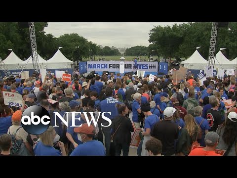 You are currently viewing Activists, lawmakers and families of victims join gun reform rally in DC