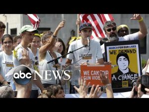 Read more about the article Rallies across country call for gun reform following tragic mass shootings | ABC News