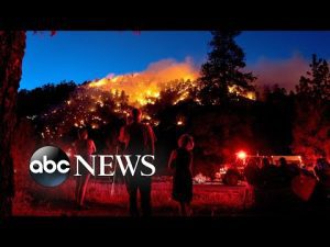 Read more about the article Sheep Fire, gun violence rally, Jan. 6 hearing: World in Photos, June 13