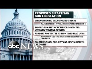 Read more about the article ‘We have more to do:’ Gun control activist reacts to bipartisan deal
