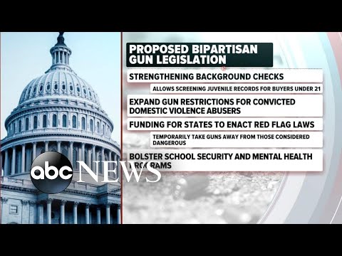 You are currently viewing ‘We have more to do:’ Gun control activist reacts to bipartisan deal