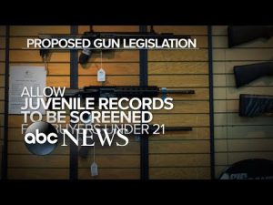 Read more about the article Framework of bipartisan gun safety deal reached