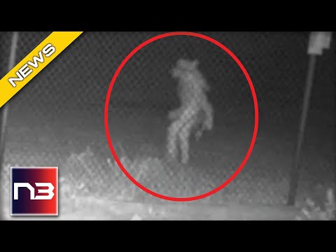 You are currently viewing Picture Shows UNIDENTIFIED Monster Seen on Surveillance Camera In Texas