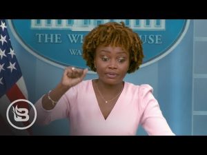 Read more about the article Press Sec. Left Literally Speechless After a Basic Question About Baby Formula