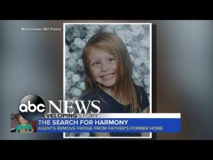 Read more about the article Search for missing New Hampshire girl