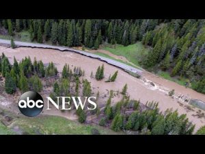 Read more about the article Yellowstone flooded, San Yatra and Indigenous protests: World in Photos, June 15